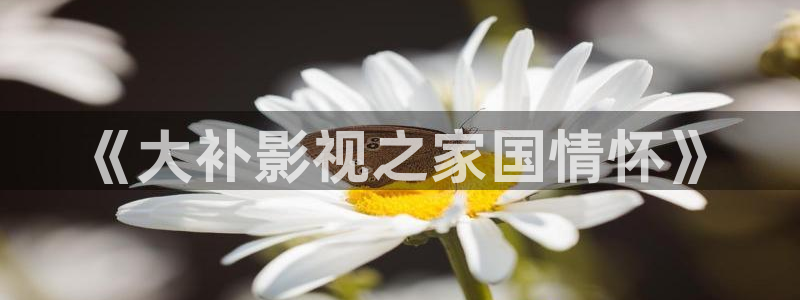青丝影视在线观看：《大补影视之家国情怀》