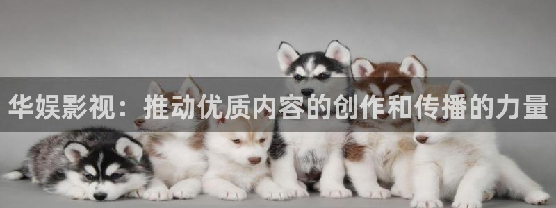 青丝影院免费：华娱影视：推动优质内容的创作和传播的力量
