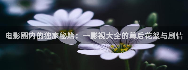 青丝电影网在线观看：电影圈内的独家秘籍：一影视大全的幕后花絮与剧情