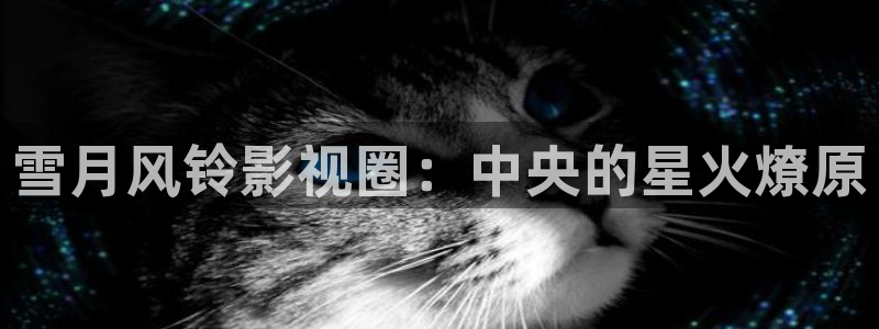 青丝电影网：雪月风铃影视圈：中央的星火燎原