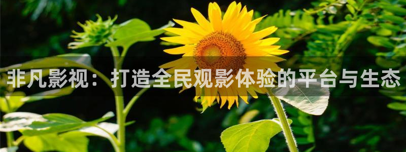 青丝电影完整版：非凡影视：打造全民观影体验的平台与生态