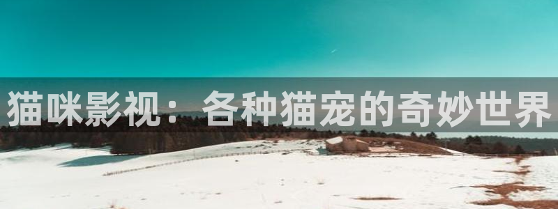青丝影院电视剧播放量怎么样：猫咪影视：各种猫宠的奇妙世界