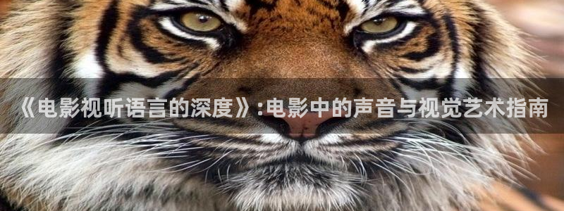 青丝电影院：《电影视听语言的深度》:电影中的声音与视觉艺术指南