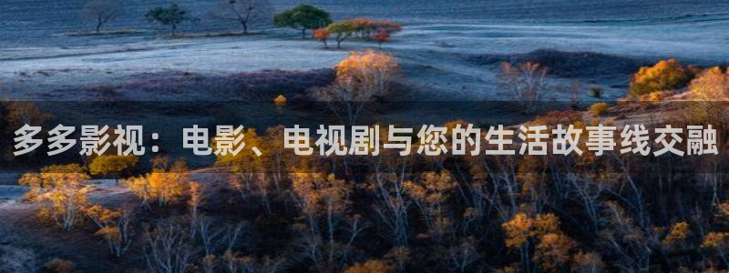 青丝影院电视剧在线观看全集高清：多多影视：电影、电视剧与您的生活故事线交融
